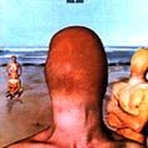 toe fat