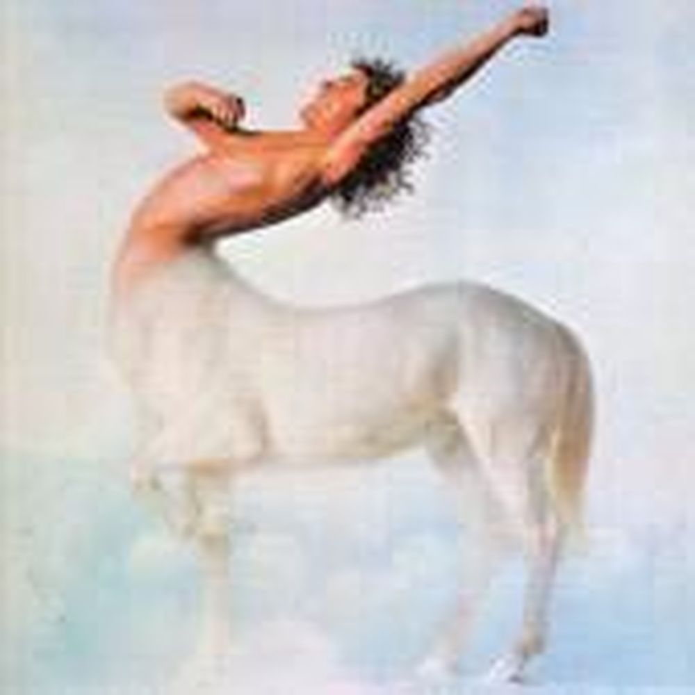 ride a rock horse