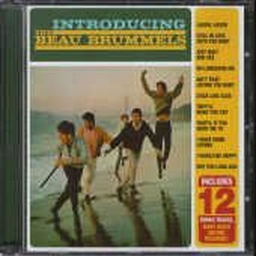 introducing the beau brummels