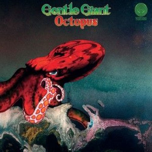 octopus