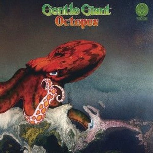 octopus