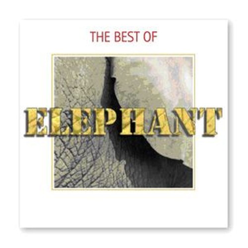 best of elephant