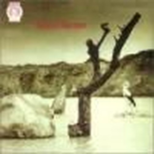 tonton macoute