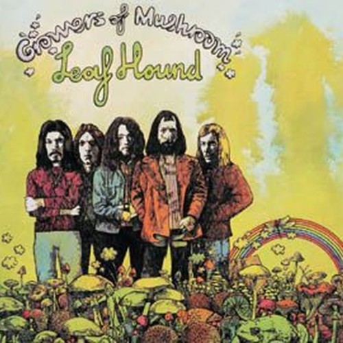 growers of mushrooms