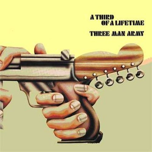 a third of a lifetime