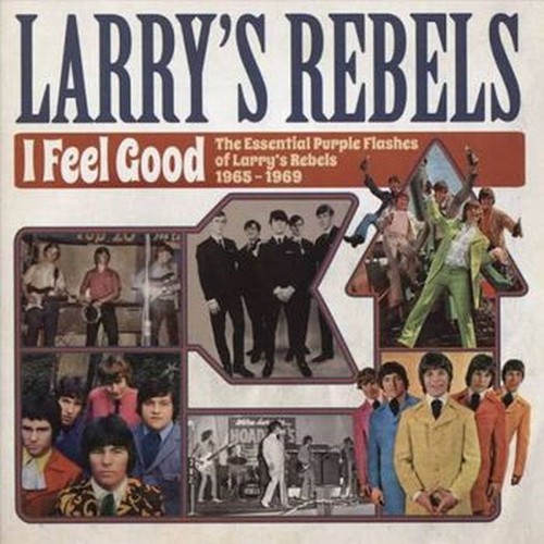 i feel good: the essential purple flashes of