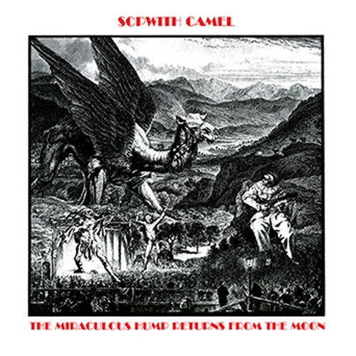 the miraculous hump returns from the moon (marbled smoke vinyl)