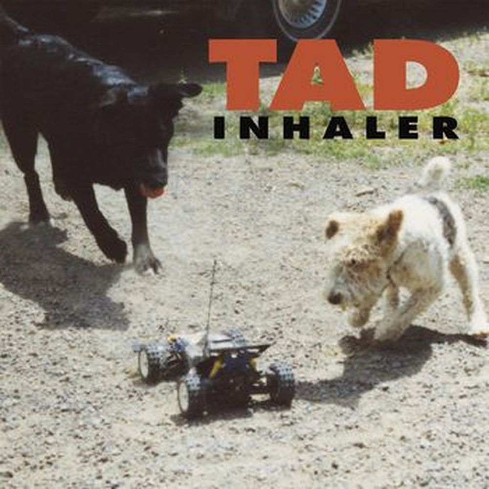 inhaler (record store day 2021 second drop exclusive, limited)