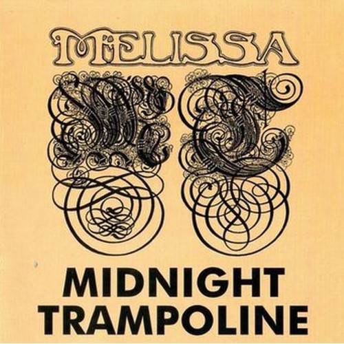 midnight tramboline