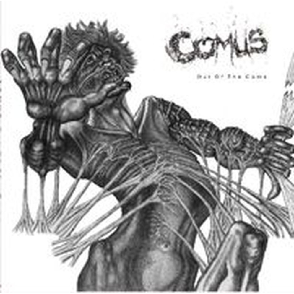 out of the coma