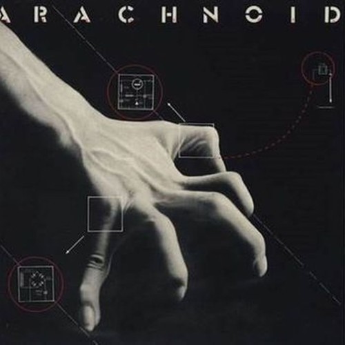 arachnoid