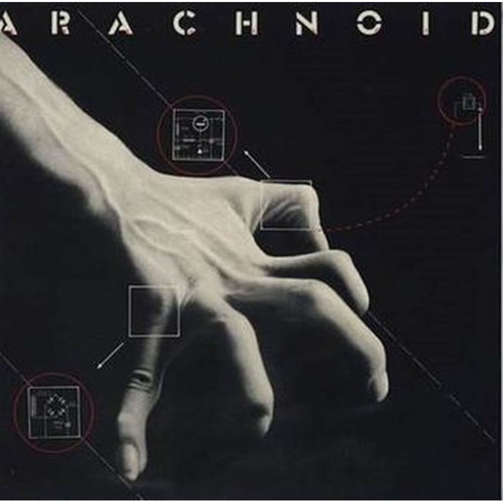 arachnoid