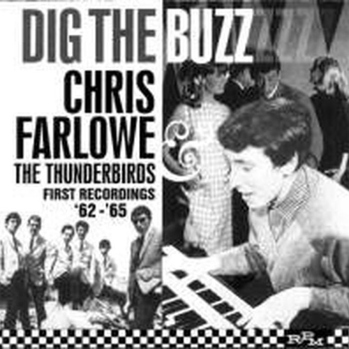 dig the buzz