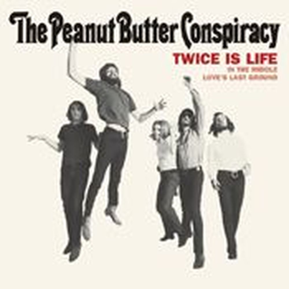 big bummer / love?s last ground