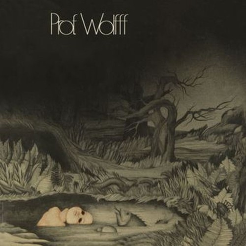 prof. wolfff