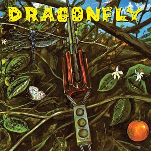 dragonfly+ 7
