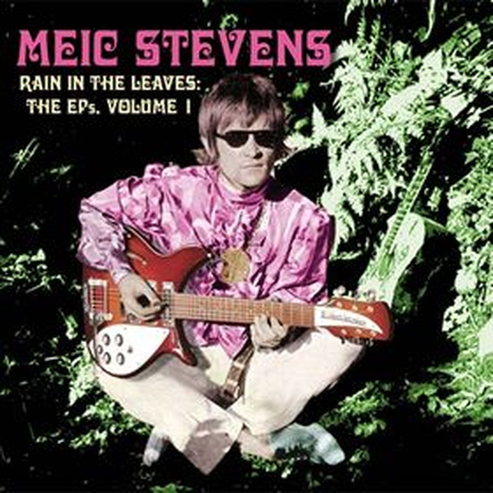 rain in the leaves - the ep's vol.1