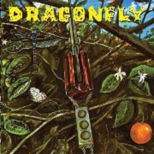 dragonfly