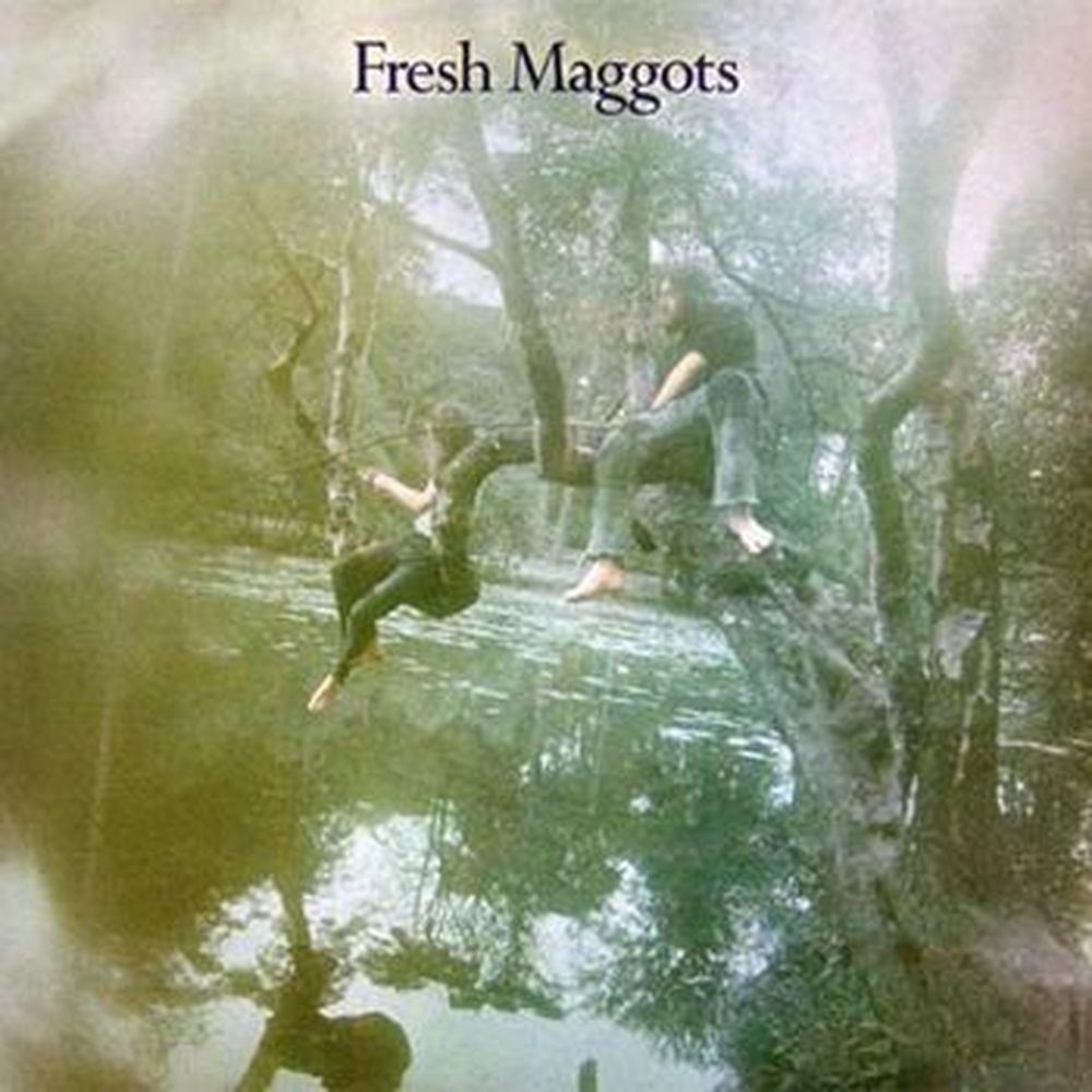 fresh maggots