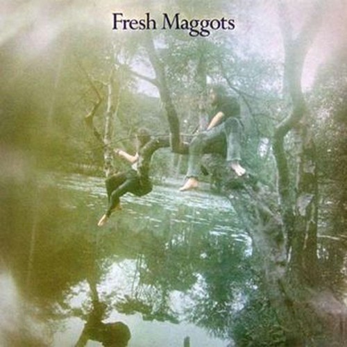 fresh maggots