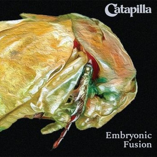 embryonic fusion