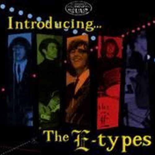 introducing the e-types