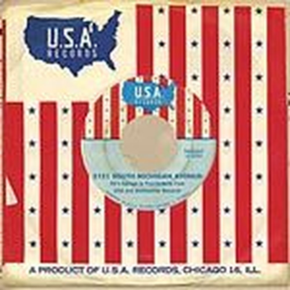 2131 south michigan avenue: 60's garage & psychedelia from usa and destination records