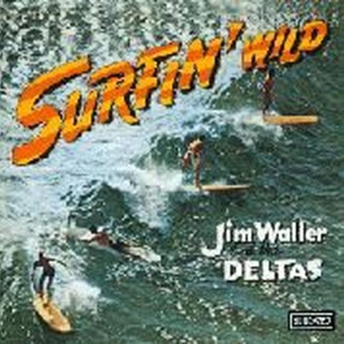 surfin' wild