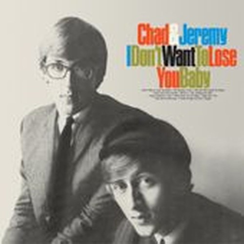 i don't want to lose you baby