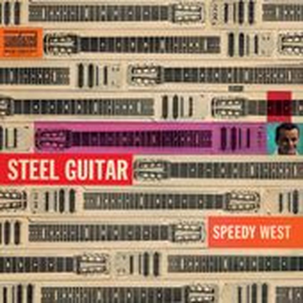steel guitar