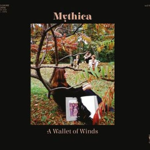 a wallet of winds