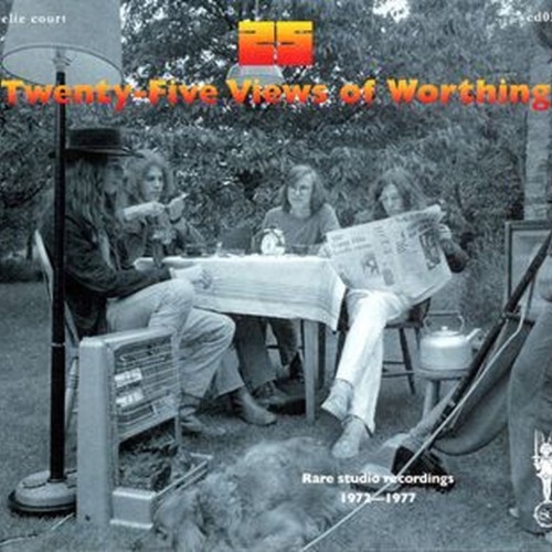 twenty five views of worthing
