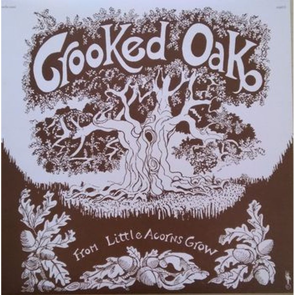 from little acorns