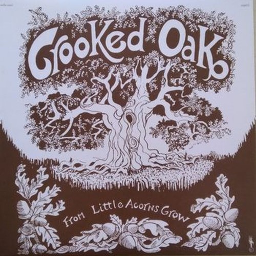 from little acorns