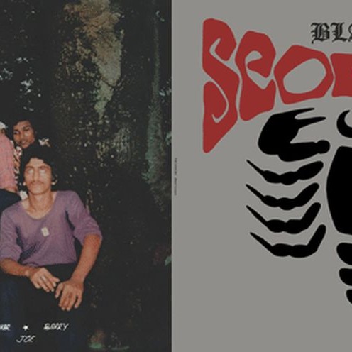 black scorpio