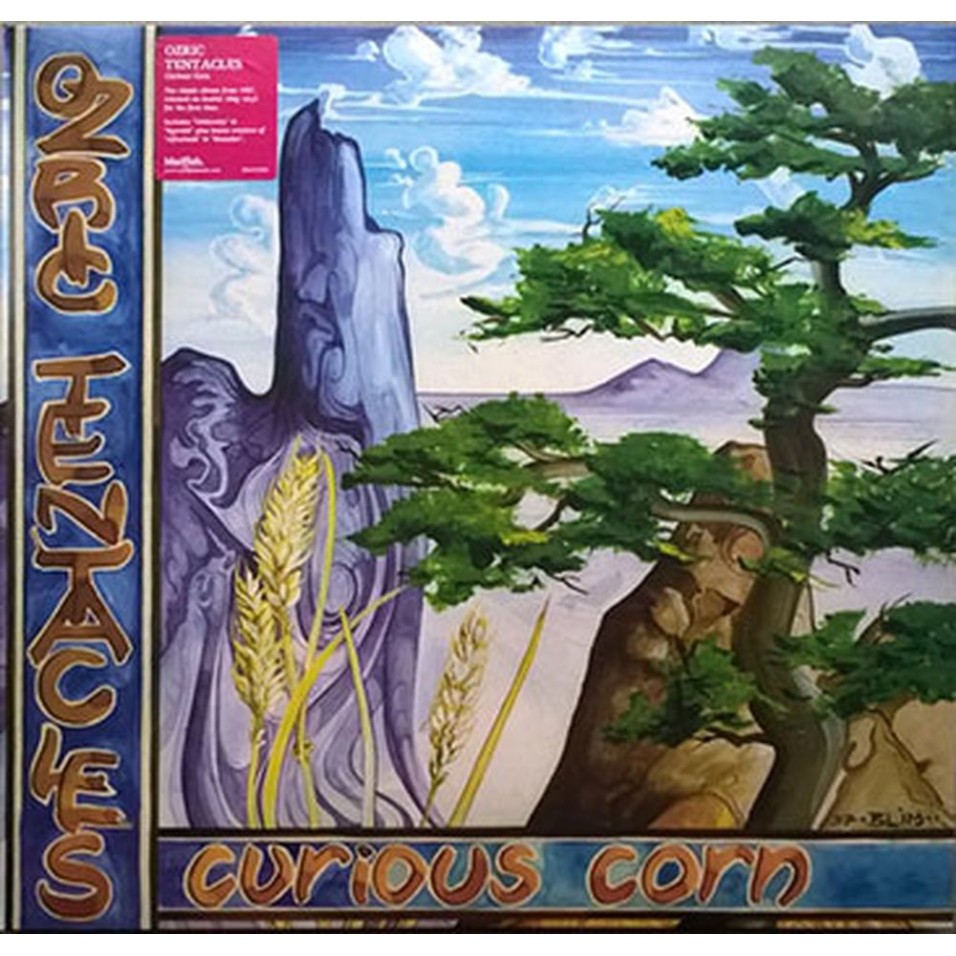 curious corn