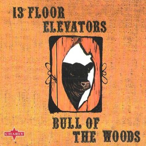 bull in the woods