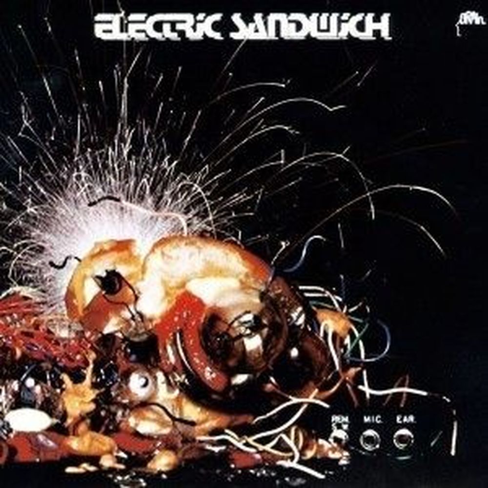 electric sandwich