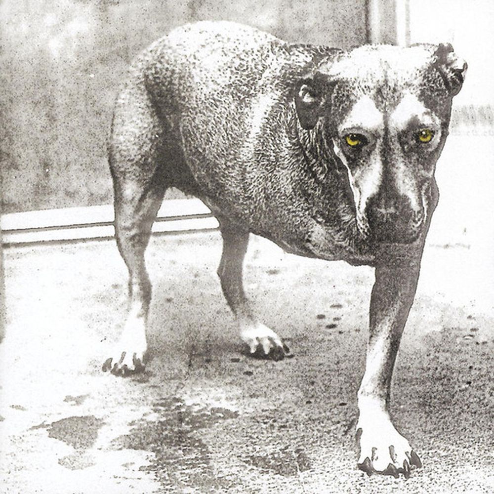 alice in chains