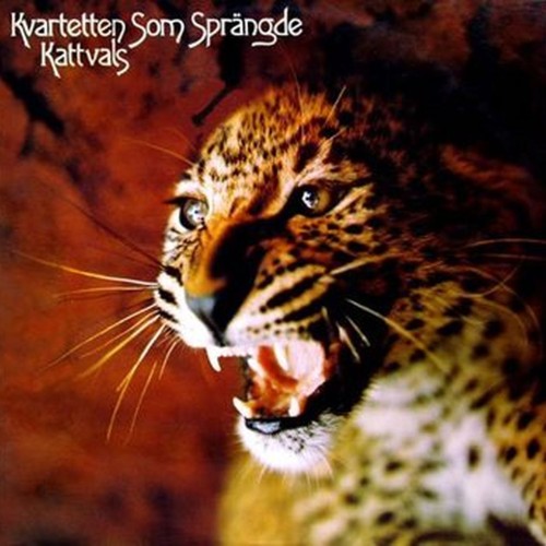 kattvals (splatter)
