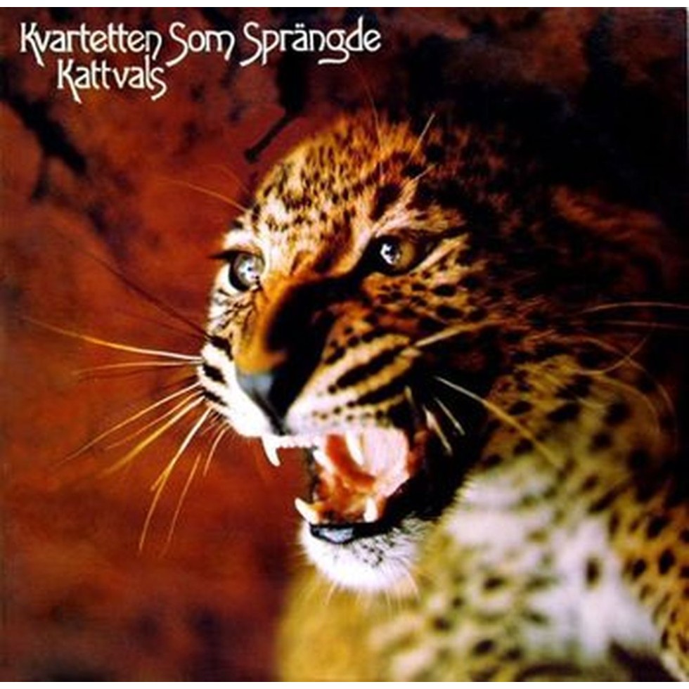 kattvals (splatter)