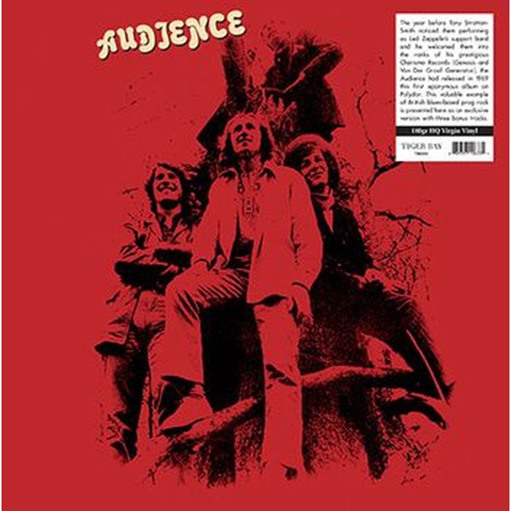 audience