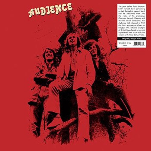 audience