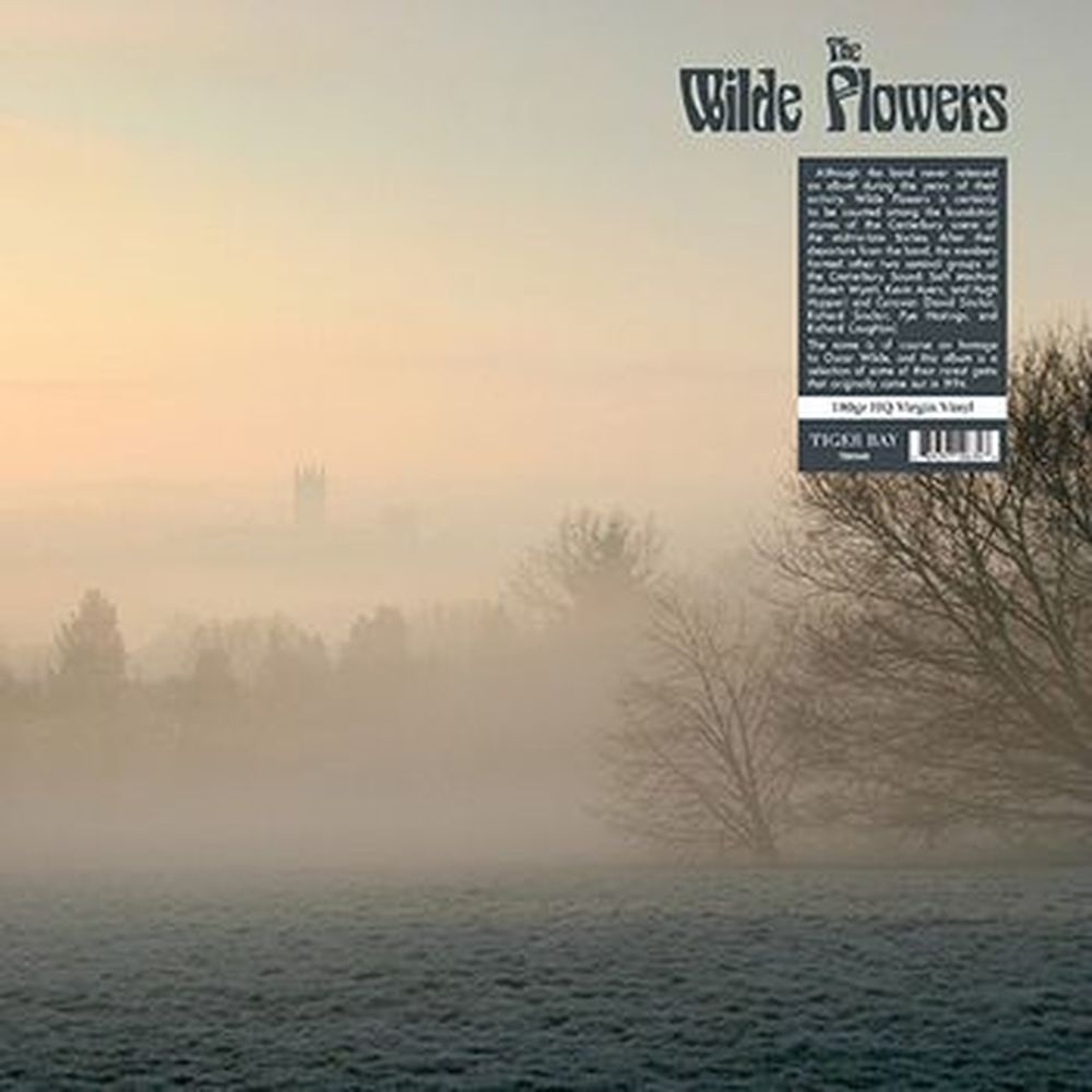 the wilde flowers