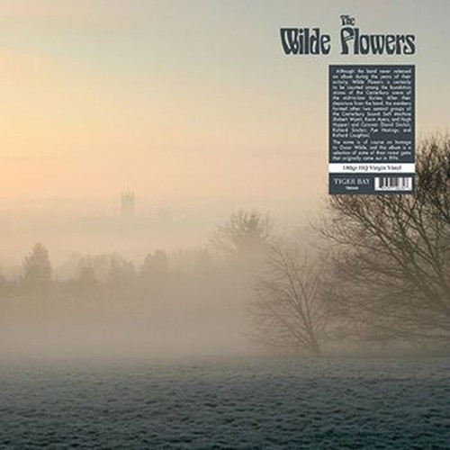 the wilde flowers