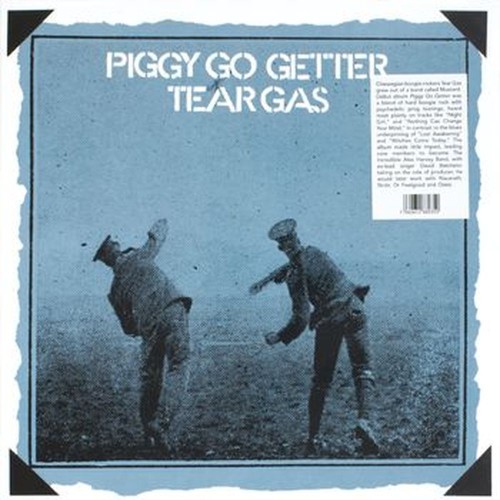 piggy go getter