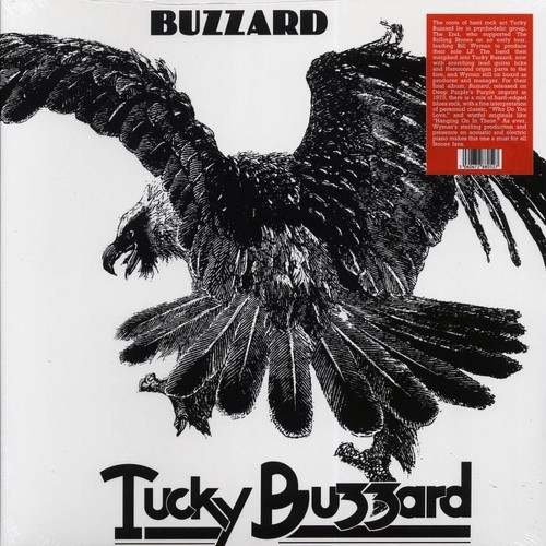 buzzard