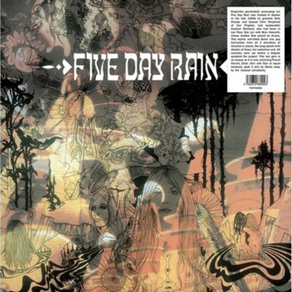 five day rain