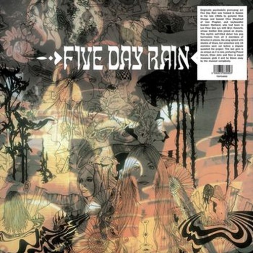 five day rain