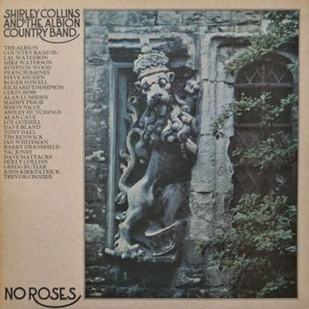 no roses
